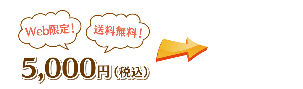 Web限定！送料無料！